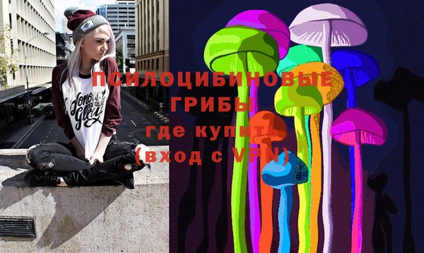 ешки Горно-Алтайск