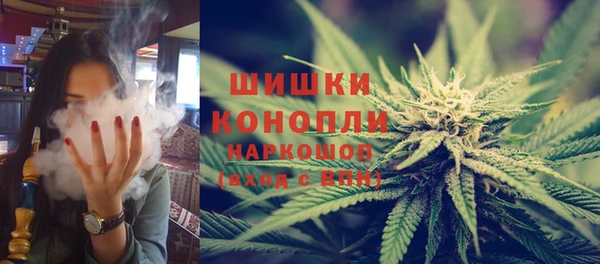 apvp Гусь-Хрустальный