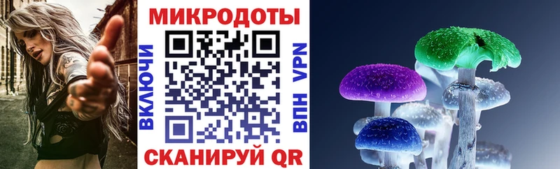 где найти   Невинномысск  Псилоцибиновые грибы прущие грибы 